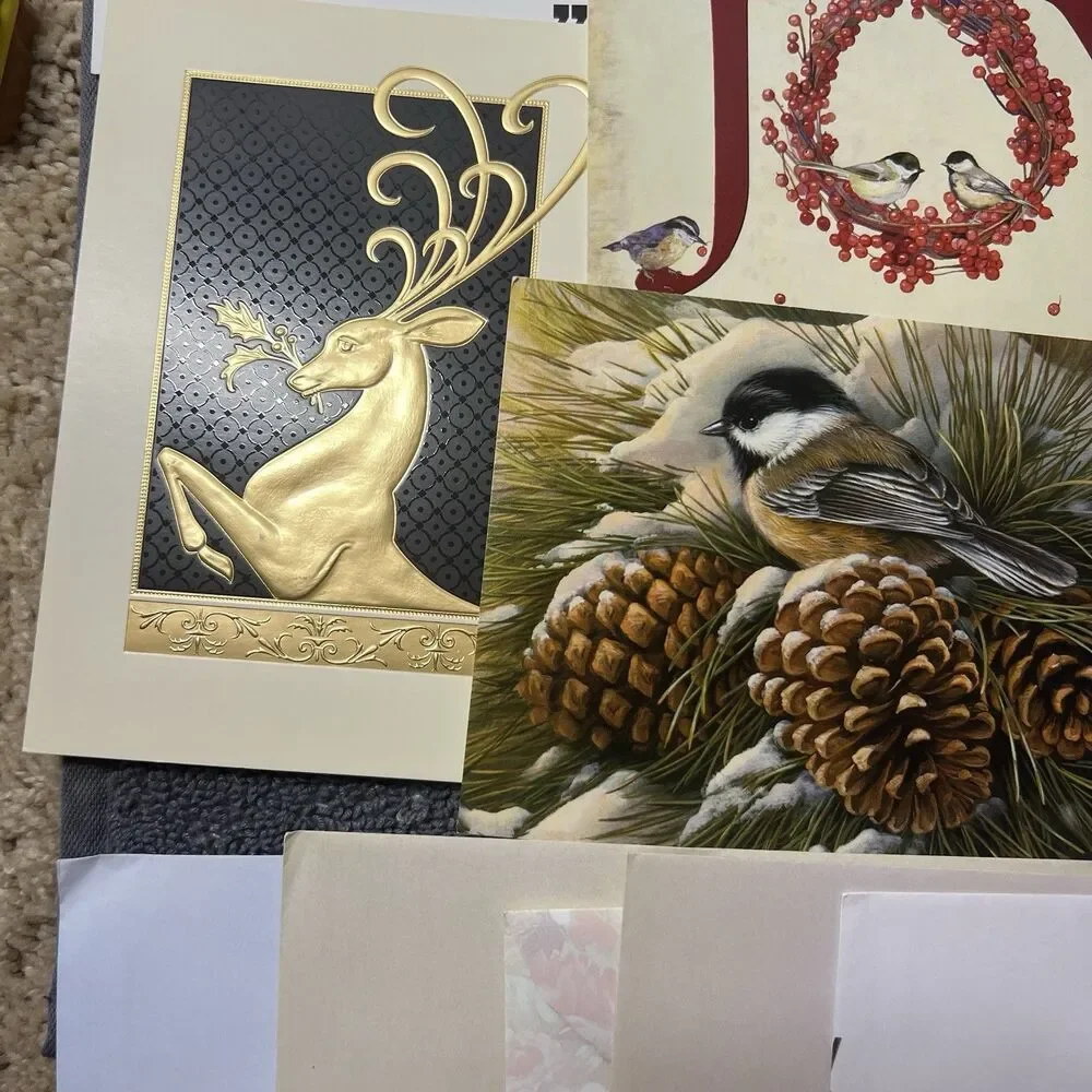 Lot 12 Assorted Greeting Cards with Envelopes Christmas Sympathy Floral NEW